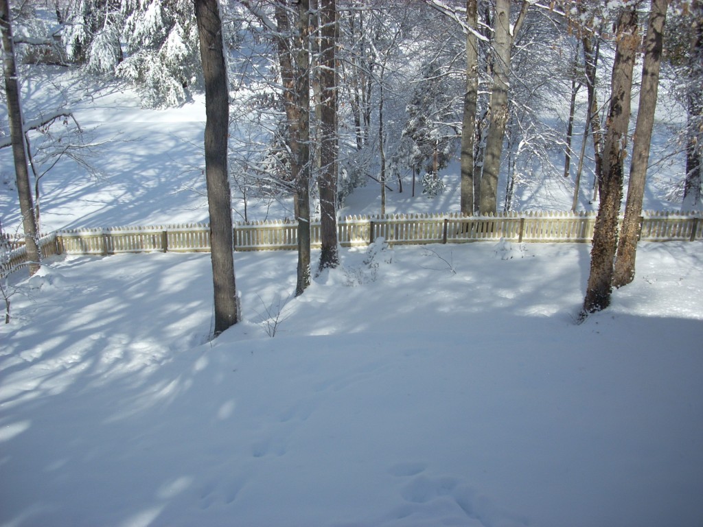 DSCN1770 DSCN1770