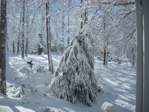 DSCN1772 DSCN1772